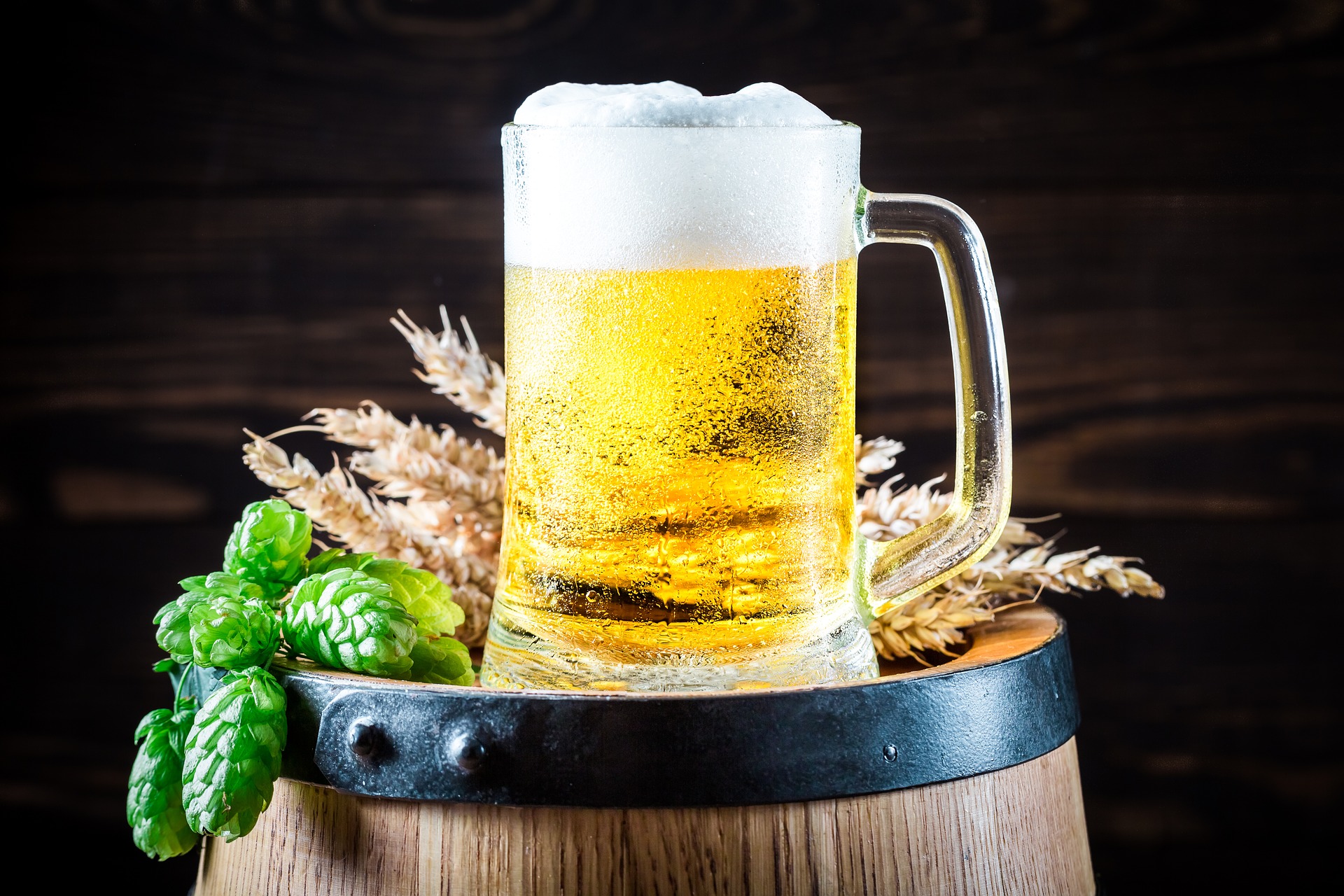Fun facts om øl og bryg